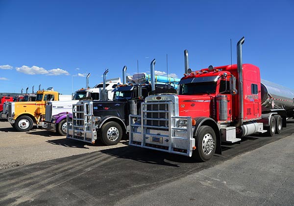 高级会员版的催收来电